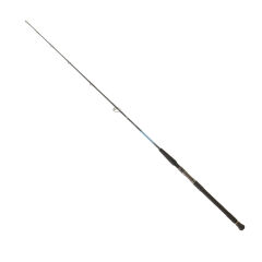 DAIWA HARRIER JIGGING 1.75M TEK PARÇA 150-300GR JIG KAMIŞ