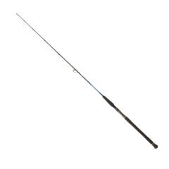 DAIWA HARRIER JIGGING 1.75M TEK PARÇA 150-300GR JIG KAMIŞ