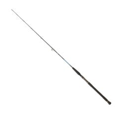 DAIWA HARRIER JIGGING 1.75M TEK PARÇA 150-300GR JIG KAMIŞ