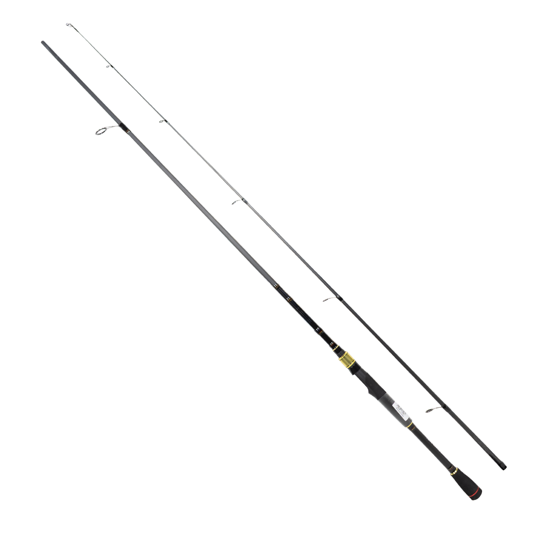 DAIWA RS 2.29M, 5-21GR, 2P KAMIŞ