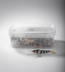 BEZLİ KARİDES 75 SARI/ŞEFFAF/SİYAH 20P