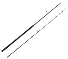 Savage Gear Defiance SG2 Shore Jig 2.90m 50-120gr 2 Parça Olta Kamışı