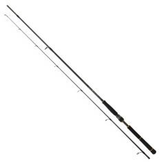 Daiwa New Bg Seabass 2.44m, 14-42gr 2p Spin Olta Kamışı
