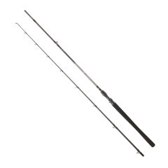 DAIWA EXCELER CASTING 1.96M, 5-21GR, 2P KAMIŞ
