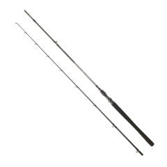 DAIWA EXCELER CASTING 2.13M, 7-28GR, 2P KAMIŞ
