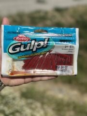 Berkley Gulp Sandworm 5cm 24 Adet Kokulu Silikon Yem