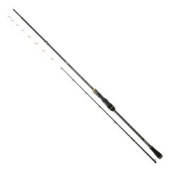 TEAM DAIWA TENYA BC 1.92M MAX 300GR TETİKLİ 2P KAMIŞ