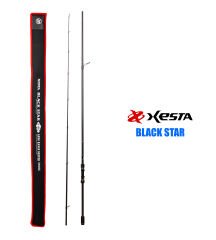 XESTA BLACKSTAR HARD S90HX KAMIŞ 2.74M 10-50G