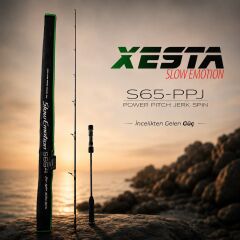 XESTA SLOW EMOTION SPIN SLOW JERK S654 KAMIŞ 1.95M 180-400G 2P