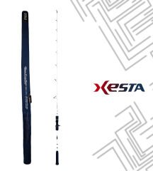XESTA SLOW EMOTION POWER PITCH JERK B60-PPJ KAMIŞ 1.82M 150-500G