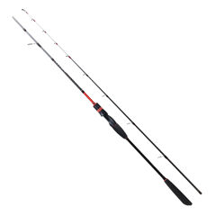RYUJI SPECTRA SP 2.00M 40-180GR 2P BOT KAMIŞI