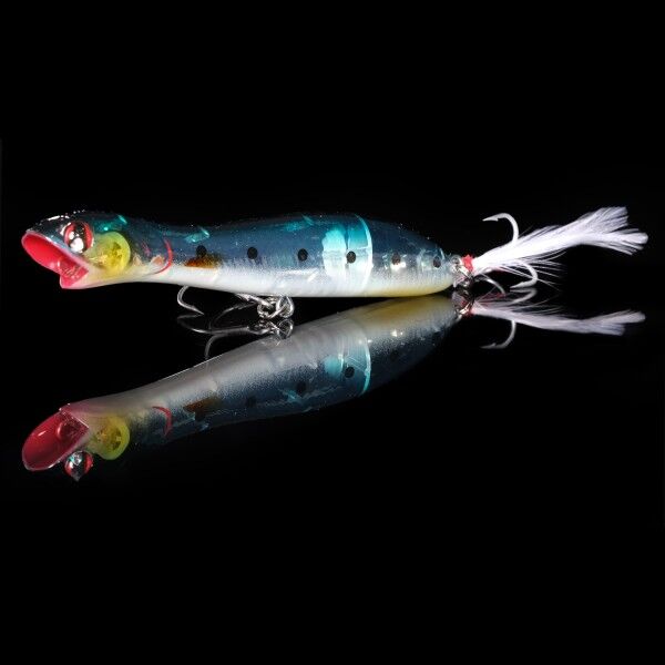 Japanese Natsu HG2772