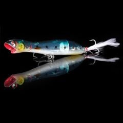 Japanese Natsu HG2772