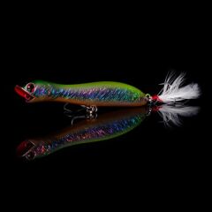 Japanese Natsu HG2774