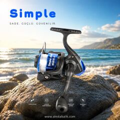 SIMPLE FD-200 1BB MAVİ MİSİNALI