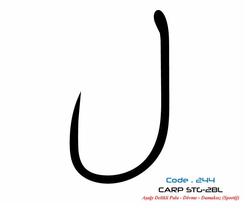 2447 CARP STG-2 DAMAKSIZ  #4 TEFLON 7P