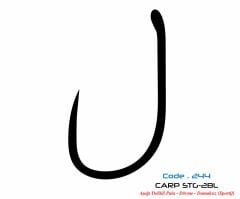 2447 CARP STG-2 DAMAKSIZ  #4 TEFLON 7P