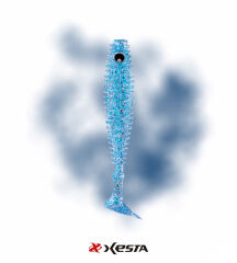 XESTA SHAD STAR SİLİKON 3.5'' 9.5CM KCB 6P
