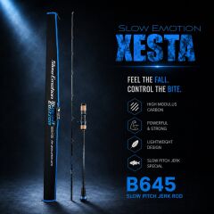 XESTA SLOW EMOTION SUMMIT EDITION B645 1.93M 200-500G