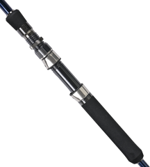 Fujin Madcast 290cm 20-80gr Shore Jig Kamışı
