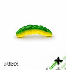 SPIINX PUPA 35MM 12P PEYNİR JAMAICA 72