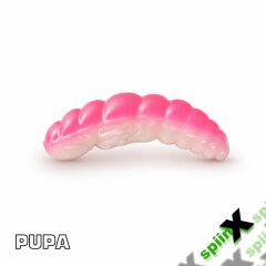 SPIINX PUPA 35MM 12P PEYNİR UV HOT PINK X GLOW 77