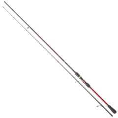 Daiwa Fuego BF 2.44m 14-42gr 2P Spin Kamış