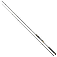 Daiwa BG Seabass 244cm 7-28gr Seabass Kamış