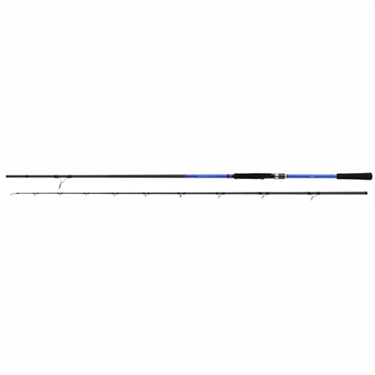Blue Romance AX Shore Jigging 9'6'' 50-80g