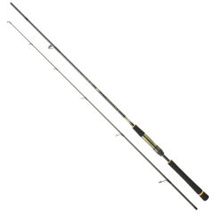 DAIWA CROSSCAST S DF 2.44M, 10-35GR 2P SPIN KAMIŞ