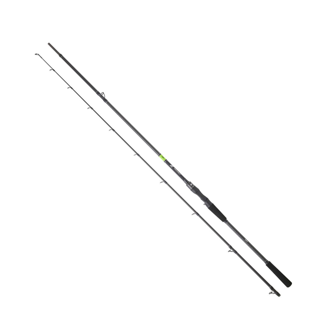 DAIWA PROREX E CASTING 2.03M, 28-84GR, 2P KAMIŞ