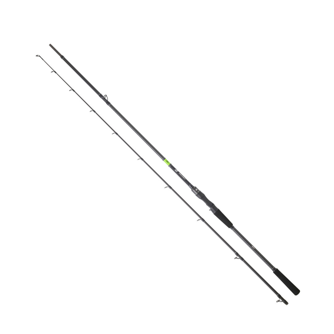 DAIWA PROREX E CASTING 2.03M, 28-84GR, 2P KAMIŞ