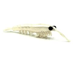 NIKKO OKIAMI SHRIMP M 42MM GLOW #035 SİLİKON YEM