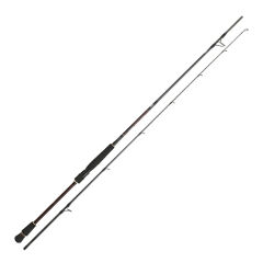 Daiwa Infeet Seabass 2.51m 10-35gr 2P Kamış