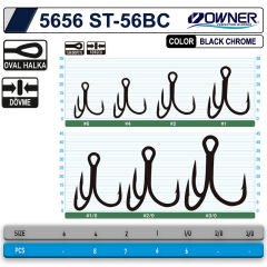 OWNER 5656 ST-56 BC