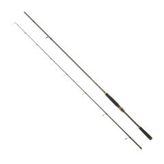 DAIWA LEGALIS SEABASS BF 2.44M, 10-35GR, 2P KAMIŞ