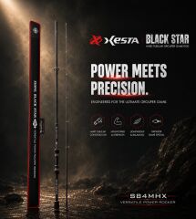 XESTA BLACKSTAR HARD S84MHX KAMIŞ 2.54M 7-35G
