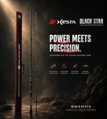 XESTA BLACKSTAR HARD S84MHX KAMIŞ 2.54M 7-35G