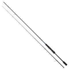 Daiwa Emeraldas 2.59M 5-21gr 2P Kamış