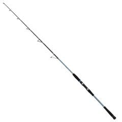 Captain 1429 Canon Boat Tekne Kamışı PE 2-5 10-15Lbs 170Cm