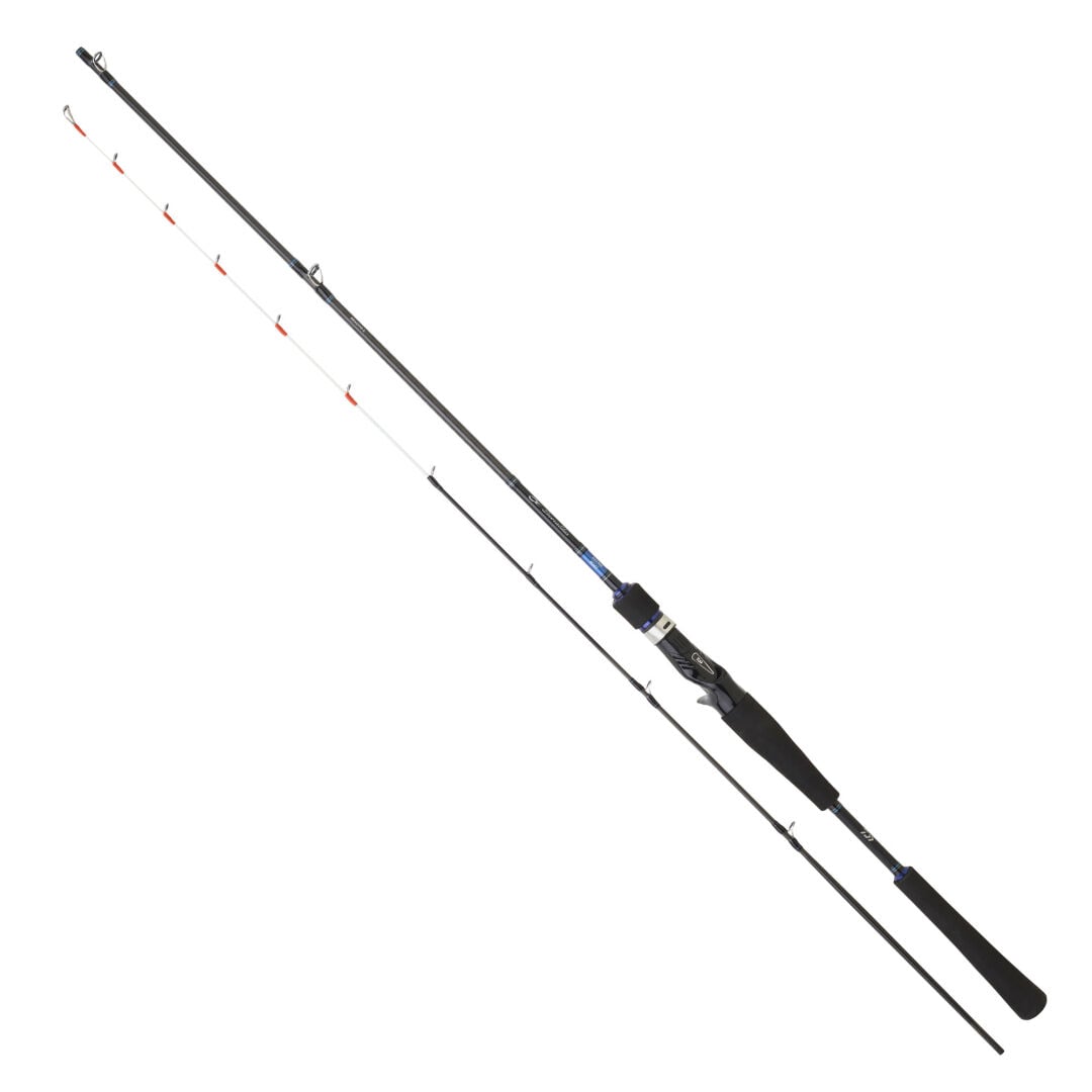 Daiwa Emeraldas Boat 1.98m 40-100gr 2P Kamış