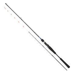 Daiwa Emeraldas Boat 1.98m 40-100gr 2P Kamış