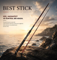 BEST STICK 240 CM 10-30G 2P