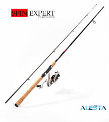 SPIN EXPERT 240 CM 10-30G MF 2P KARBON