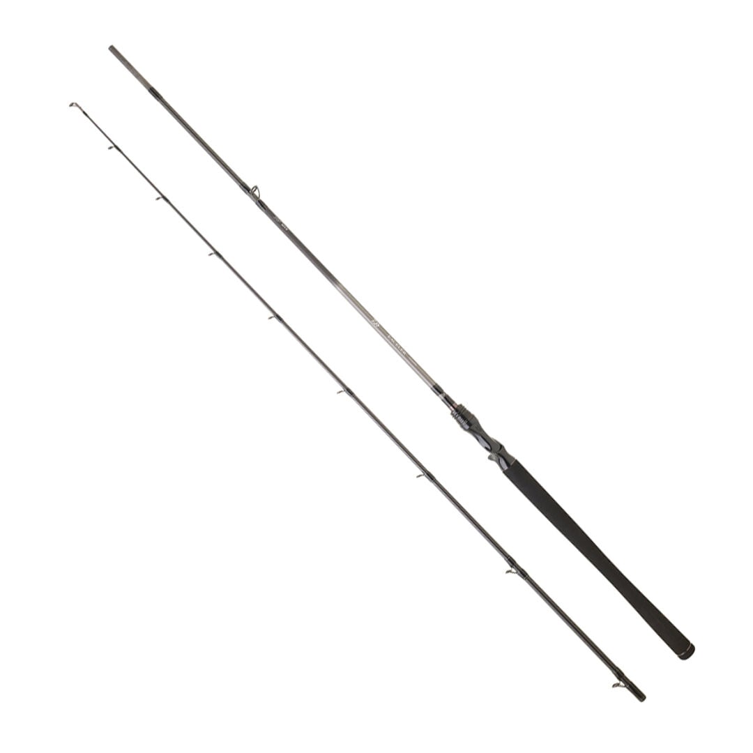 DAIWA EXCELER CASTING 2.24M, 28-84GR, 2P KAMIŞ
