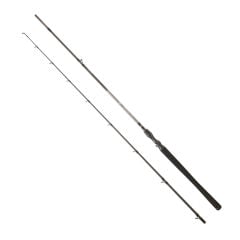 DAIWA EXCELER CASTING 2.24M, 28-84GR, 2P KAMIŞ
