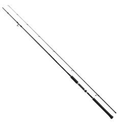 Shimano Salty Advance 290 Cm Max. 80 Gr Shore Jig Kamışı
