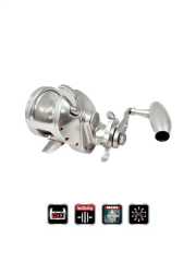 Accurate Tern 2 300 Lefty Star Drag Slow Pitch
