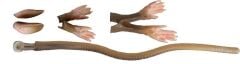 Savage gear LB 3D Rad Maintenance Kit 20 cm Brown Sahte Balık