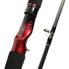 Daiwa Powermesh 1.91m 100-300gr 1+1 iıg Kamış (Tetikli)